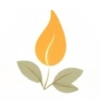 FireBerries Logo